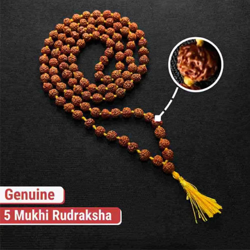 5 Mukhhi Rudraksh Jaap Mala For Pooja