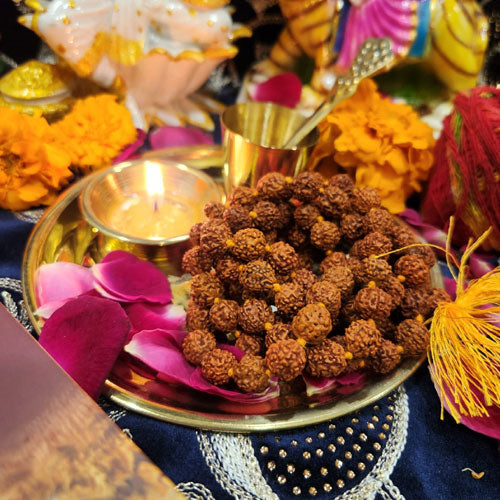 5 Mukhhi Rudraksh Jaap Mala For Pooja
