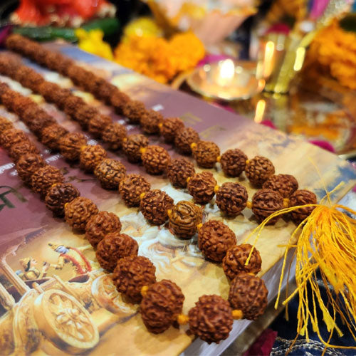 5 Mukhhi Rudraksh Jaap Mala For Pooja